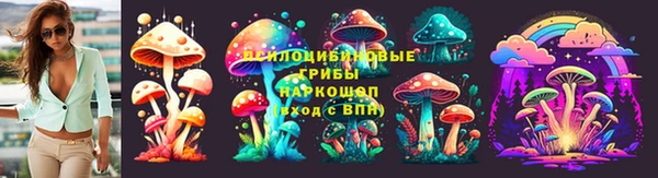 дурь Богданович